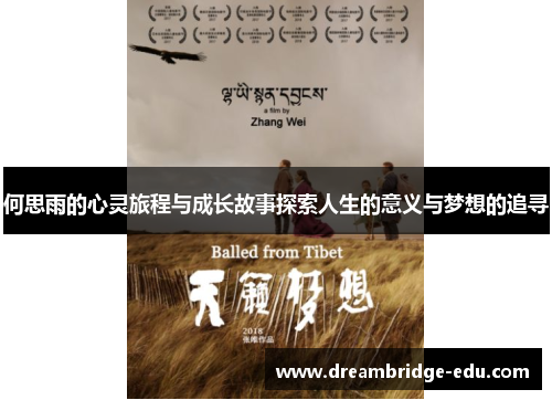 何思雨的心灵旅程与成长故事探索人生的意义与梦想的追寻