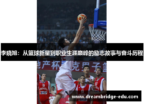 李晓旭：从篮球新星到职业生涯巅峰的励志故事与奋斗历程